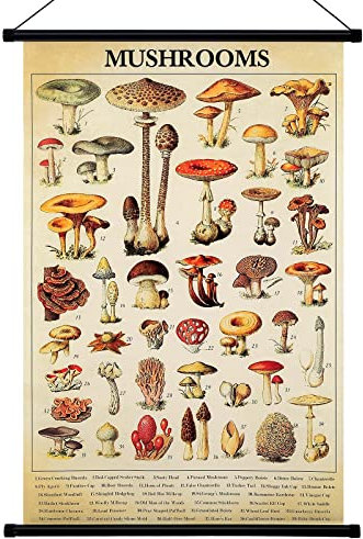 Geyee Vintage-Pilz-Poster, Wandteppich, Pilz-Wandkunstdrucke, rustikaler Pilz-Wandbehang, illustratives Referenzposter für Wohnzimmer, Büro, Klassenzimmer, Schlafzimmer, Dekoration, 39 x 60 cm