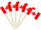 AhfuLife 100/200 Stück Cocktail Stick Flaggen, Zahnstocher Flagge für Sandwich Lebensmittel Cupcake Toppers Cocktail Obst Geschirr Party Supplies Pub Decor (200 Stück, Kanada Zahnstocher Flagge)