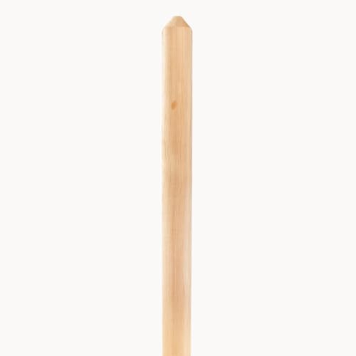 Mega Holz Zaunlatten Paket Mallorca 10 Stück aus Lärchenholz 80 cm Höhe Halbpalisade Zaun Brett Zaunbrett Gartenzaun Holzzaun
