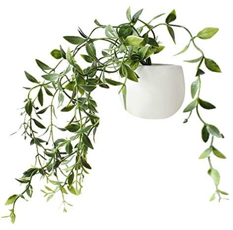 SUJING 1 aimant magnétique pour réfrigérateur - Motif plante succulente - Décoration d'intérieur - Autocollant pour réfrigérateur - Message créatif - Cadeau (1 pièce)