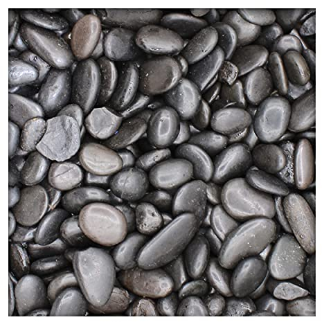 Kieskönig Schwarzer Glanzkies Zierkies Flusskiesel River Pebbles Gartenkies 10/20 25 kg