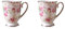 EIOLWJIEO 2 Juegos de Taza clásica de flores para café, leche, creativas tazas de cerámica, taza de lujo, tazas de oficina, tazas de té, suministros para el hogar, presente tipo 5, Tipo5 2Conjunto