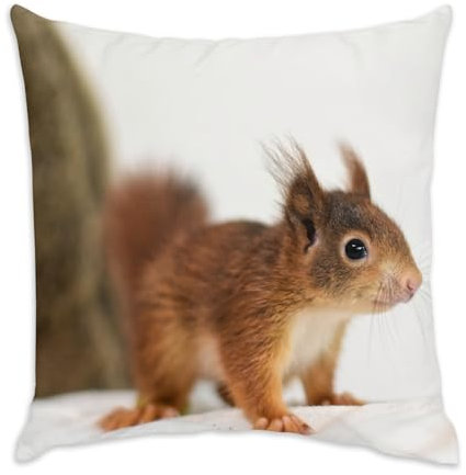 Fabulous Kissen aus Samt, weiß, Eichhörnchen, sehr niedlich, Wildtier, Natur, Foto, Innenbereich, 40 x 40 cm, samtweich, inklusive Bezug und Kissen