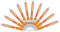 Libetui 10 Stück ergonomische Kugelschreiber orange rutschfeste Griffzone Druckkugelschreiber Orange Großraumine Schwarz schwarzschreibend Kulis Orange