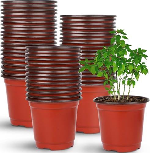 LATERN 100Pcs Plastic Flower Pots, 10CM Lightweight Plant Pots Seed Starting Planter Nursery Seedlings Pot Flower Plant Container for Vegetables Flowers Herbs Cuttings Succulent (10cm x 8.5cm)