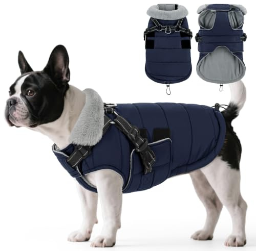 ASENKU Hundemantel Winter mit Geschirr S Wasserdicht für kleine Hunde | Reflektierend, Fleece, Hundejacke für Yorkshire Terrier, Chihuahua Ideal für Spaziergänge bei Nacht, Schnee und Wanderungen