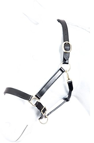 Lederhalfter ROBUST Marengos schwarz Warmblut