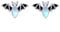 Fledermaus Ohrstecker - 925 Sterling Silber Mondstein Ohrringe Gothic Tier Ohrringe Schwarz Hypoallergene Schmuck Geschenke für Damen
