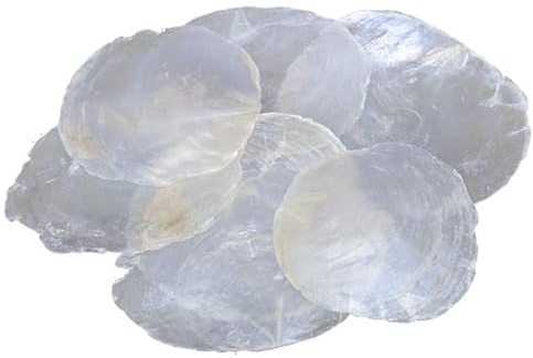 10 Stück Perlmutt Scheiben Capiz Perlmuttscheiben Natur Weiss 6-11cm TISCHKARTEN Namenskarten Muschelscheiben runde Perlmuttplatten Maritime Deko Anker Ostsee Nordsee Muscheln…