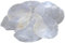 10 Stück Perlmutt Scheiben Capiz Perlmuttscheiben Natur Weiss 6-11cm TISCHKARTEN Namenskarten Muschelscheiben runde Perlmuttplatten Maritime Deko Anker Ostsee Nordsee Muscheln…
