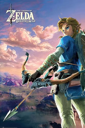The Legend of Zelda Close Up Poster Breath of The Wild (61cm x 91,5cm)