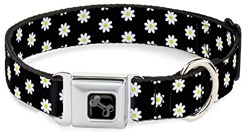 Hundehalsband, mit Schnalle, Gänseblümchen, verstreut in Schwarz, Weiß, Gelb, 38,1 bis 66 cm, 2,5 cm breit