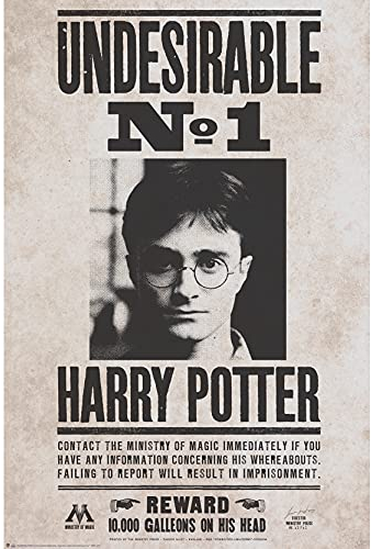 ABYstyle ABYDCO768 Harry Potter Unerwünschtes Maxi-Poster Nr. 1 61 x 91,5 cm