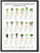 State Media Vision Poster zur Pflege von Zimmerpflanzen – Sonnenlicht, Bewässerung, Temperatur, Fütterung, Luftfeuchtigkeit – verschiedene Größen (nur A4-Druck)