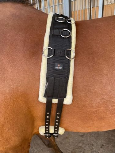 Preto Horse Training Body Roller or Lunging Girth Synthetic Nylon Webbing Fleece/Faux fur Padded Exercise Lunge Roller Girth Anti-Chafing Equestrian Pony Sattelgurt Vollblut Pony Warmblut