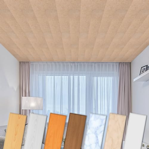 HEXIM Deckenpaneele aus XPS 100x16,7cm - Moderne Deckenverkleidung aus Styropor Kunststoff (2 Quadratmeter P-11) Wand Decke Paneel
