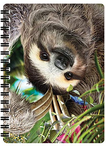3D LiveLife Jotter - Herumhängen von Deluxebase. Linsenförmigeses 3D-Faultier A6 Spiral-Notizbuch. Liniertes Notizbuch mit Kunstwerken, die vom bekannten Künstler David Penfound lizenziert wurden