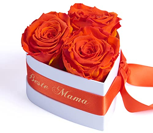 ROSEMARIE SCHULZ Heidelberg Für die Beste Mama der Welt 3 Infinity Rosen Herzbox zum Muttertag Geburtstag (Orange, 3 Rosen Für die Beste Mama der Welt)