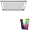Paul Neuhaus Q-KAAN LED Deckenleuchte up & down Leuchtprofile, Alexa kompatibel Smart Home, dimmbar Fernbedienung, CCT…