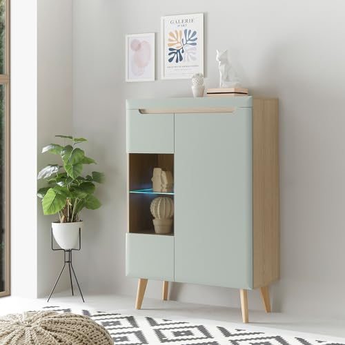 Lomadox Wohnzimmer Esszimmer Vitrine, Vitrinenschrank in Grün Matt mit Eiche