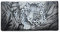 Anna by Anuschka Damen Clutch Wallet Echtes Leder, Afrikanischer Leopard, Einheitsgröße