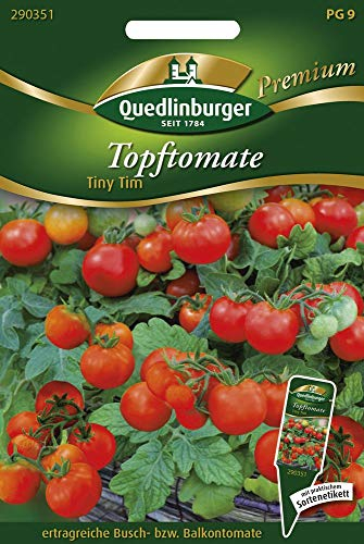 Quedlinburger 290351 Topftomate Tiny Tim (Buschtomatensamen)