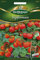 Quedlinburger 290351 Topftomate Tiny Tim (Buschtomatensamen)