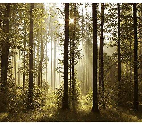 decomonkey - Papier Peint Panoramique Adhésif Foret 441x315 cm - Stickers Muraux Salon Chambre Déco XXL Autocollant - Jaune gris beige - Des arbres paysage forêt brouillard nature soleil vert