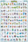 BUY ART FOR LESS Offiziell lizenziertes Pokemon – Hoenn Charaktere 61 x 91 cm Kunstposter – dekorativer Druck – Posterpapier – fertig zum Rahmen