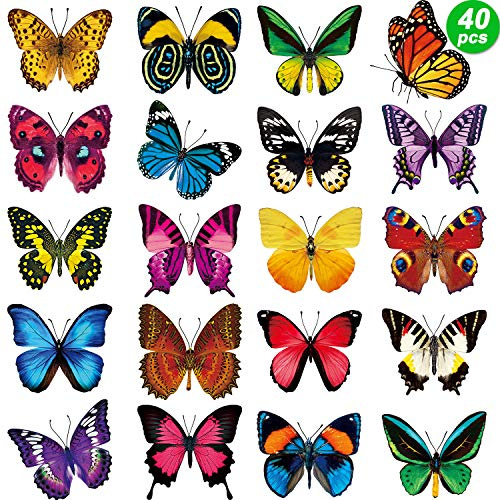 Outus 40 Pcs Butterfly Window Stickers Clings Bird Strike Alert Decals