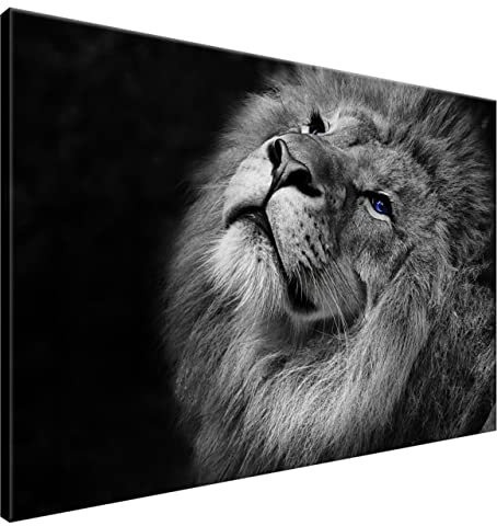 Estika Leinwand bilder - Schwarz-weißer Löwe, Blau Augen - 120x80 cm, 1 teilige kunstdruck - Wandbilder wohnzimmer, schlafzimmer, Moderne wanddeko, Bild auf leinwand - Tiere bilder - 3123A_1B
