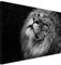 Estika Leinwand bilder - Schwarz-weißer Löwe, Blau Augen - 120x80 cm, 1 teilige kunstdruck - Wandbilder wohnzimmer, schlafzimmer, Moderne wanddeko, Bild auf leinwand - Tiere bilder - 3123A_1B