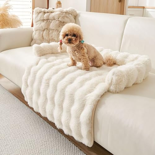 Bezugetop Hundedecke, Hundebett Sofa Waschbar, Hundedecke Sofa mit Rand, Hundematte Outdoor, Flauschig Hundebett, rutschfest Hundekissen für große, kleine Hunde oder Katzen, cremefarben