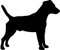Samunshi® Jack Russell Terrier Hunde Aufkleber Autoaufkleber Sticker in 6 Größen und 25 Farben (15x12,5cm schwarz)