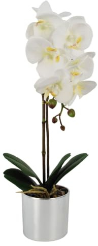 Leaf Design UK Realistic Artificial Orchid Flower Display in Pot
