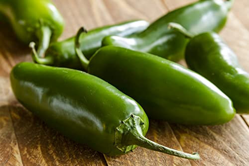 Jalapeño | Jalapeno 100 semi provenienti dal Portogallo 100% naturali, senza ausilio chimico o ingegneria genetica (1000)