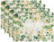 Tarklanda Eukalyptus Platzsets 4er Set Grüne Blätter Platzsets Frühling Sommer Tischsets Abwaschbar für Zuhause Restaurant Speisetisch Urlaub Party Dekor 30x45cm