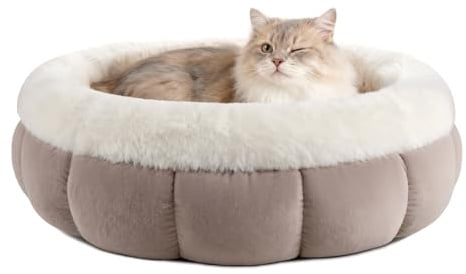 EDMIENS Katzenbett Klein, Katzenbett Flauschig Waschbar, Katzen Bett Indoor, Katzenkissen Braun, Rund Katzenkörbchen mit Rutschfester Basis, Katzenschlafplatz für Katzen, Kleine Hunde, 45x45x16.5cm