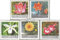 Union soviétique 3620-3624 (complète.Edition.) Neuf avec Gomme Originale ** MNH 1969 sélections de Botan. Jardin (Timbres pour Les collectionneurs) Plantes/Champignons