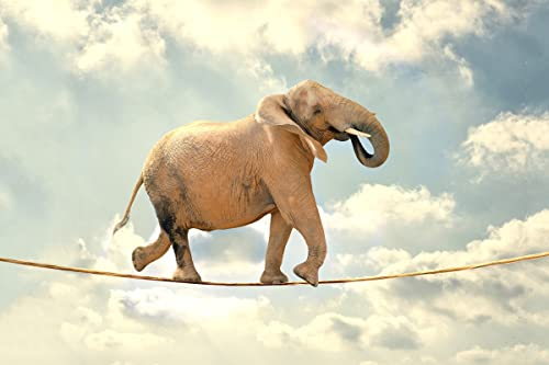 Puzzles FüR Erwachsene 1500 Teile Holzpuzzle Elefant auf einem Seil Hands On Game Family Decoration (F5, 1500 Teile)