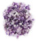 Tyenaza Pietra di Cristallo Naturale Chip burattati Pietre frantumate Guarigione Reiki Cristalli di Quarzo Pietre preziose di Forma Irregolare(Viola)
