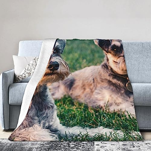 BAFAFA Blanket Soft Flannel Blanket Adults Schnauzer Dogs Printed Air Conditioner Blanket Plush Throw Blanket For Bed Travel Sofa Car Room