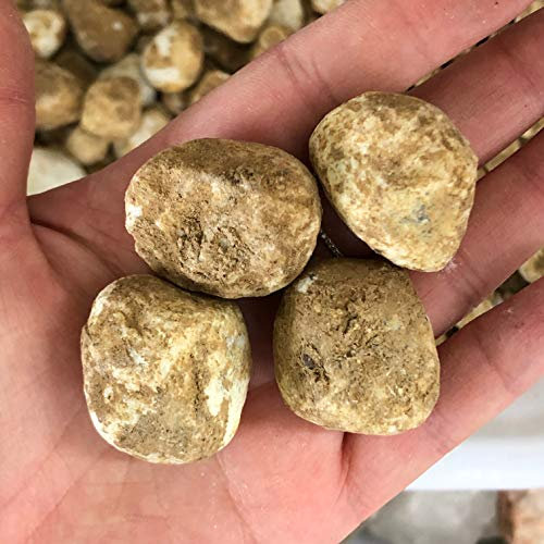 BIANMTSW 5 pièces Galets de Jardin Lueur s for allées Jardin Chemin Patio pelouse Jardin Cour décor Lumineux s Collections de la Maison