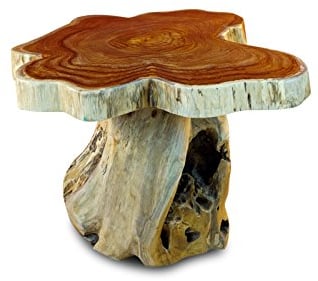 Holz Beistelltisch mit Baumscheibe ALOR Setar mit Ø ca. 60cm - Kleiner Wurzelholz Couchtisch aus massivem Teak in rustikaler Optik mit Tischplatte aus Wurzel Baumscheibe (50 x 55-60 cm)