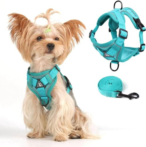 Weste Geschirr Leinen Set für Kleine Hunde und Große Katzen, Katzen Geschirr Set mit Leine Ausbruchsicher Verstellbare Jacke für Dicke Katzen, Weicher Netzmantel mit Reflektorstreifen, XL Grün