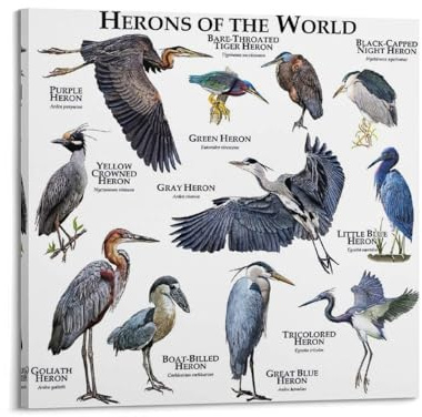 Samsung Galaxy A56 5G, Smartphone Android, 256 Go, Smartphone déverrouillé, Rose