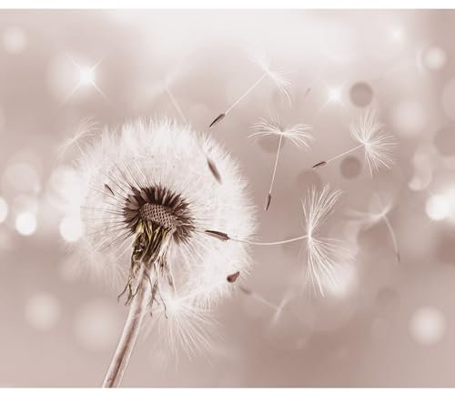 decomonkey Fototapete Pusteblume Natur 250x175 cm XL Tapete Fototapeten Vlies Tapeten Vliestapete Wandtapete moderne Wandbild Wand Schlafzimmer Wohnzimmer Blumen Abstrakt