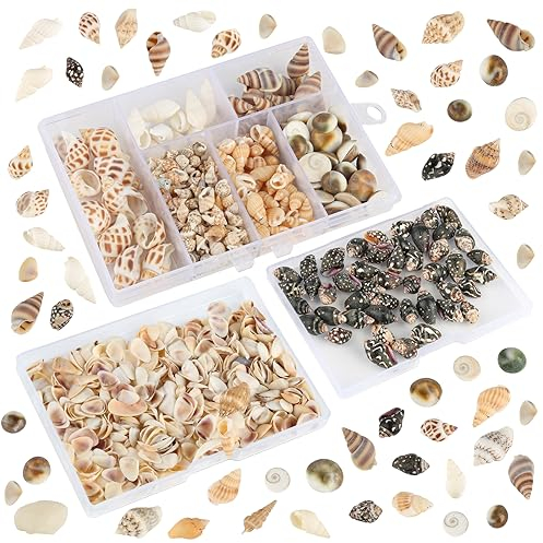 XIEJ 586 Stück Muscheln Deko, Gemischte Muscheln Deko Klein Natürliche Spiral Muscheln Zum Basteln, Kein Loch Muscheln für DIY Craft, Thema Party Dekor, Hochzeit Dekor, Fischbecken und Vasenfüller