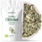 FEUILLE D'OLIVIER BIO 100g | Tisane de Feuilles d'olivier | Olivier Feuilles Coupées REPLANTEA