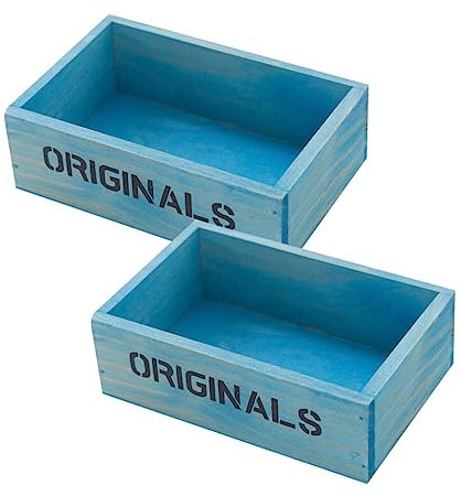 BESPORTBLE 2pcs Box Retro Flowerpot Planter Boxes Bowl Camping Planters Raised Garden Bed Planter Outdoor Storage Plants Propagation Station Storage Boxes Fake Plants Shrubs Bulbs Sky-blue